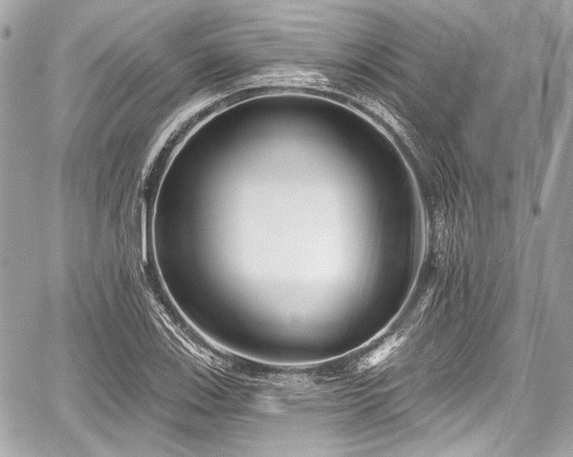 X0000059061123200510101041