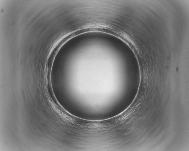 X0000059061124200510101041