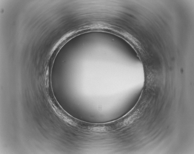 X0000059061126200510101041