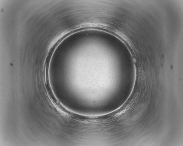 X0000059061127200510101041