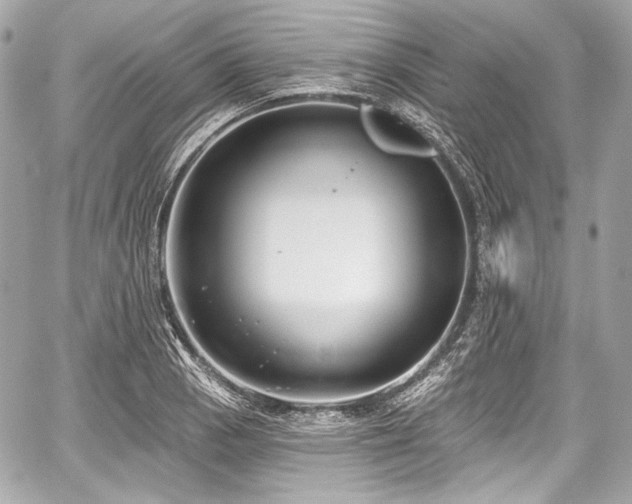 X0000059061129200510101041