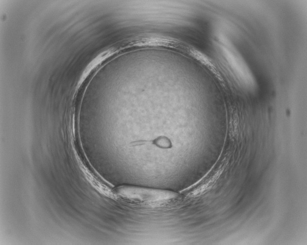 X0000059061130200510101042