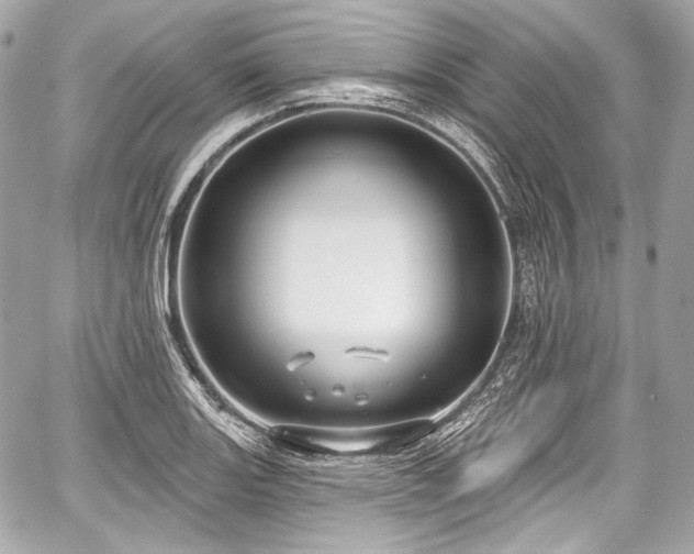 X0000059061131200510101042