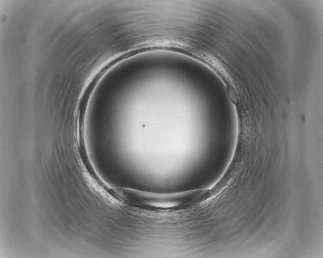 X0000059061132200510101042