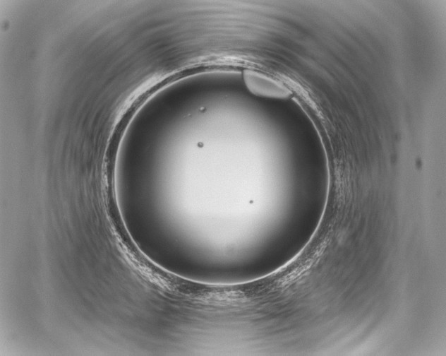 X0000059061133200510101042