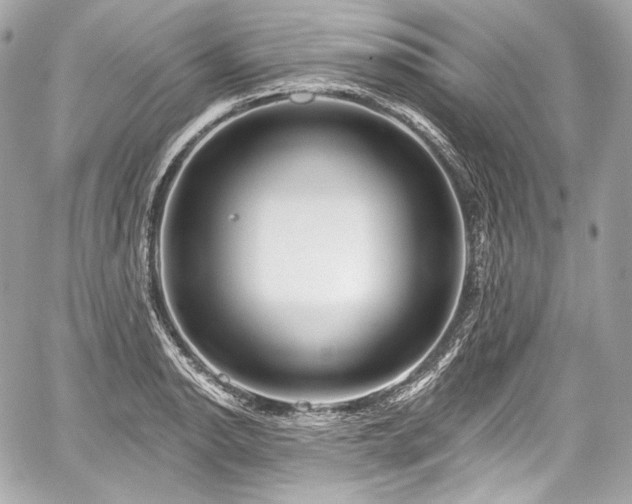 X0000059061134200510101042