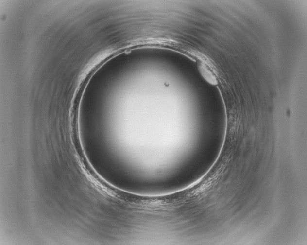 X0000059061135200510101042