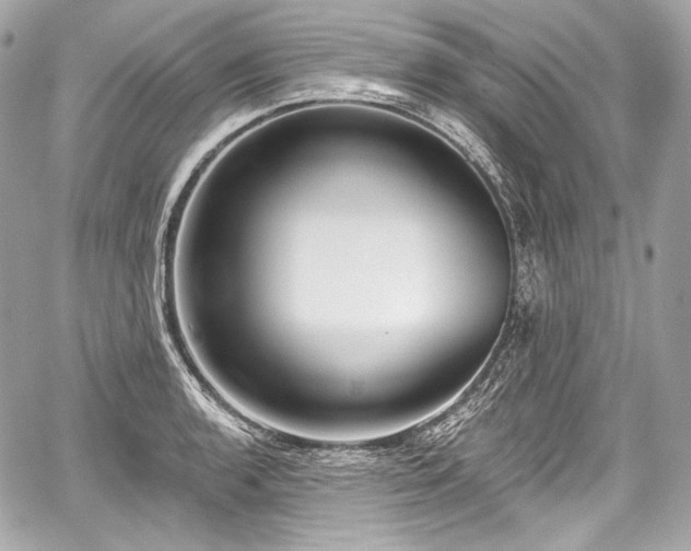 X0000059061136200510101042