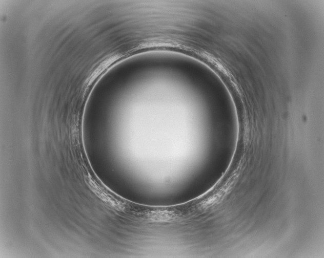 X0000059061137200510101042