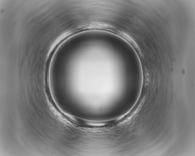 X0000059061138200510101042