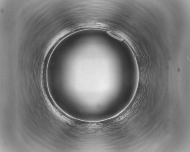 X0000059061139200510101042