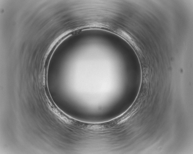 X0000059061140200510101042