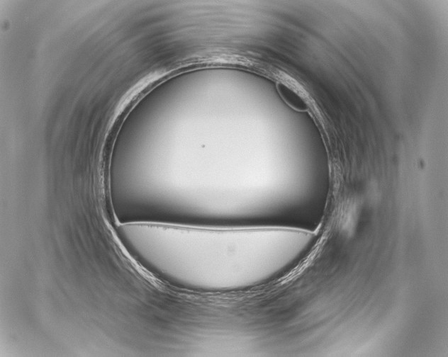 X0000059061141200510101042