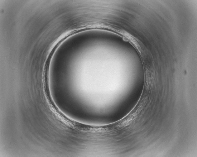 X0000059061142200510101042