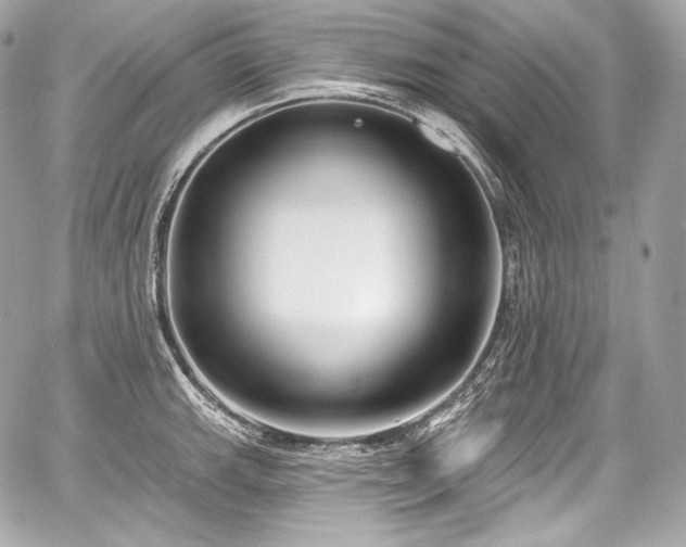 X0000059061143200510101042