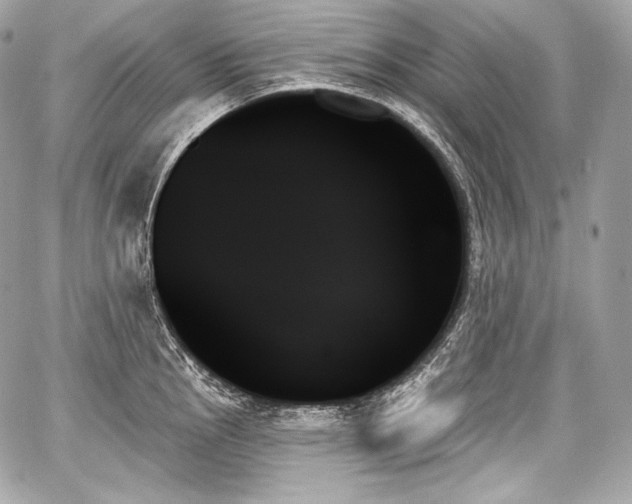 X0000059061145200510101042