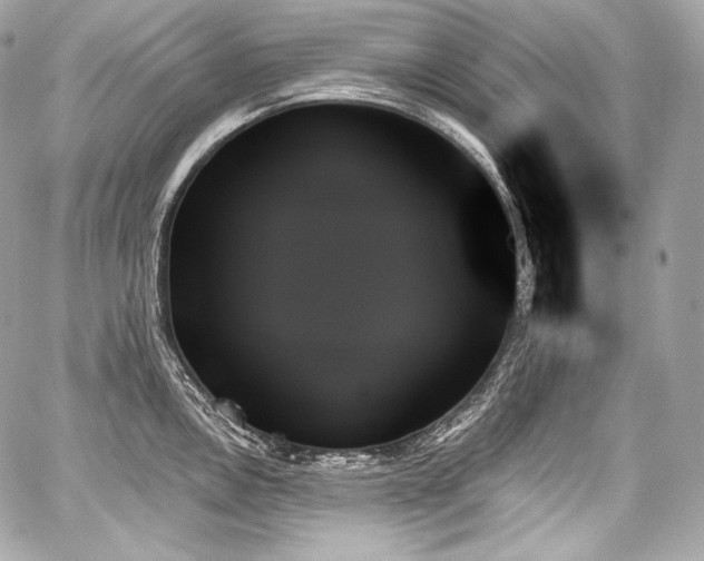 X0000059061146200510101042