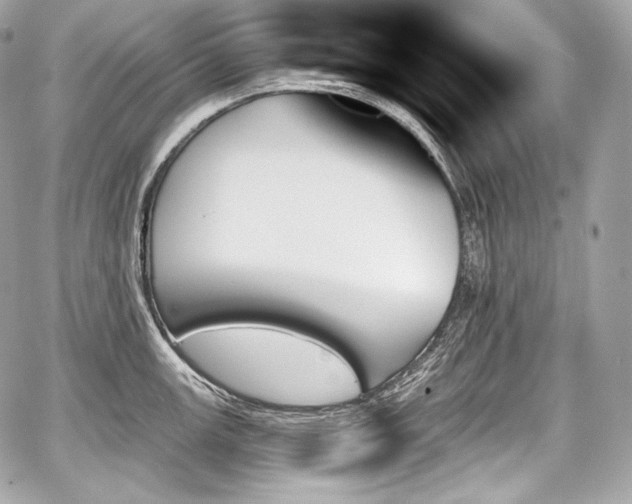 X0000059061147200510101042