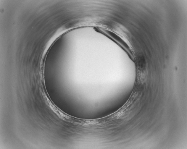 X0000059061148200510101042