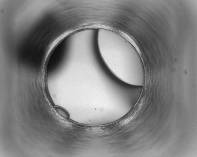 X0000059061149200510101042