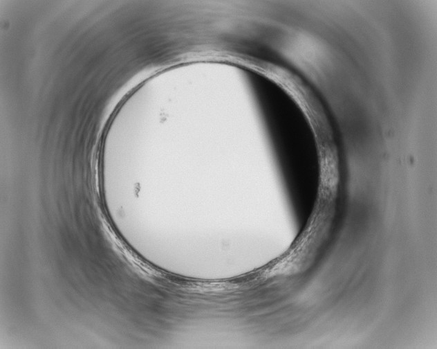 X0000059061150200510101042