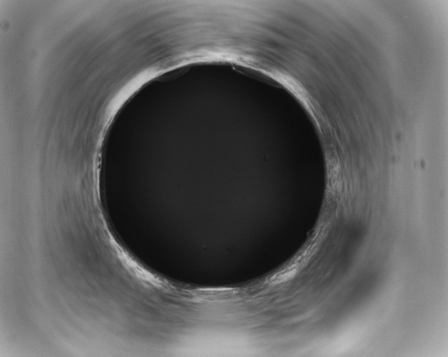 X0000059061151200510101042