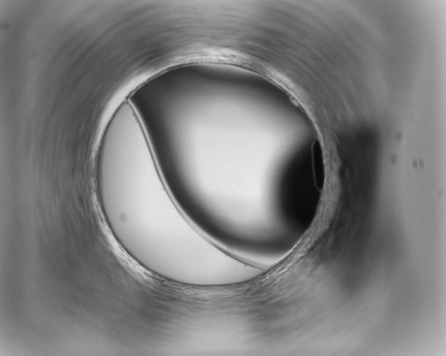 X0000059061152200510101042