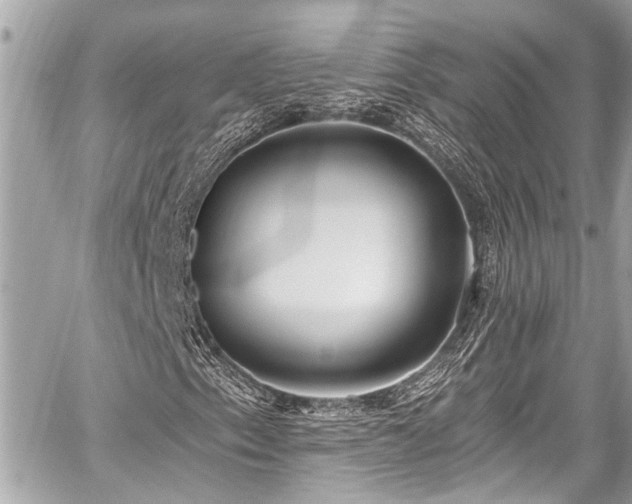 X0000059061153200510101041