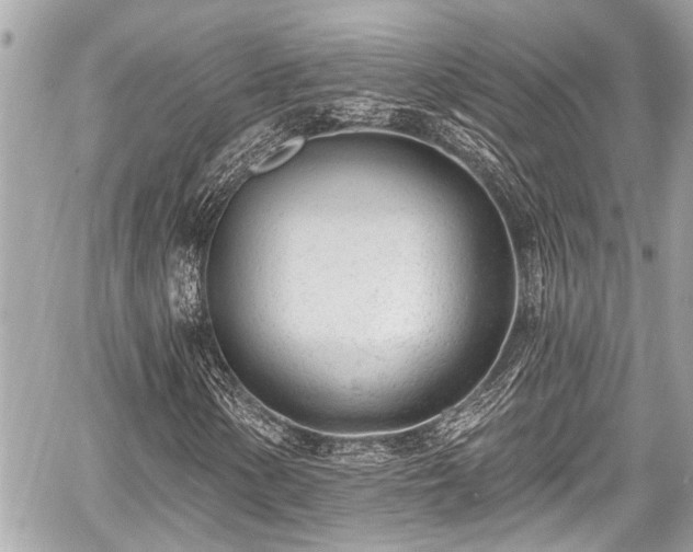 X0000059061154200510101041