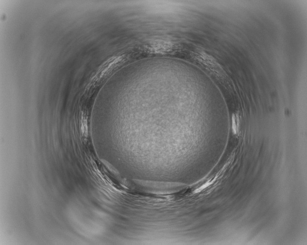 X0000059061155200510101041