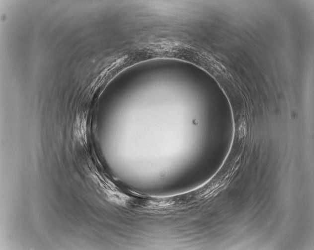 X0000059061156200510101041