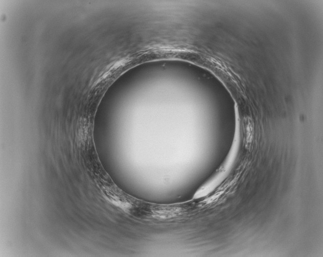 X0000059061157200510101041