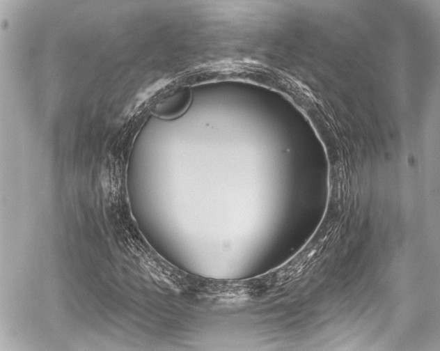 X0000059061158200510101041