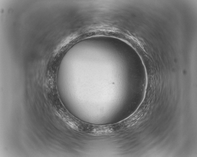 X0000059061159200510101041