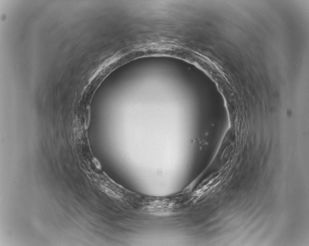 X0000059061160200510101041