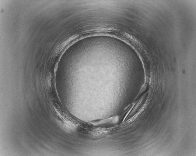 X0000059061161200510101041