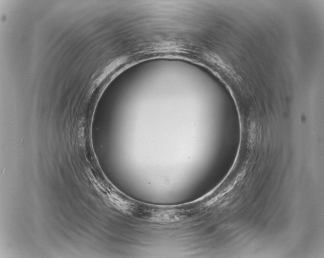 X0000059061162200510101041