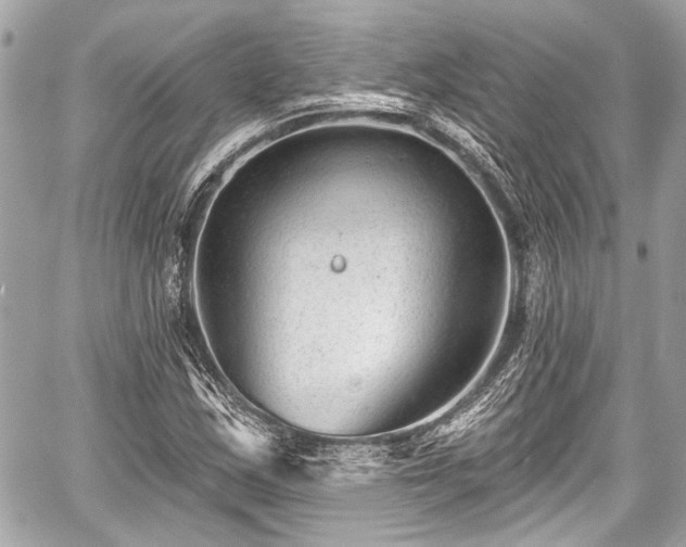 X0000059061163200510101041