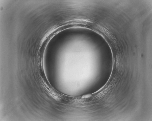 X0000059061164200510101041