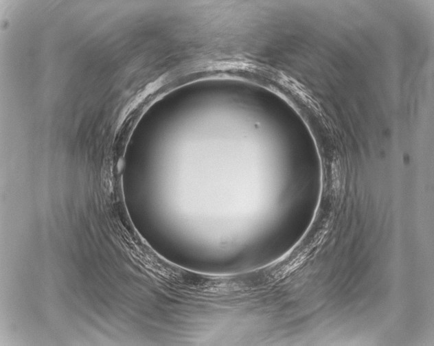 X0000059061165200510101041