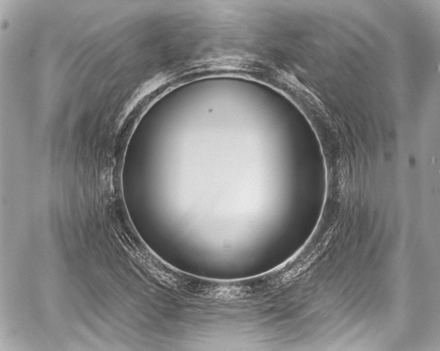 X0000059061166200510101041