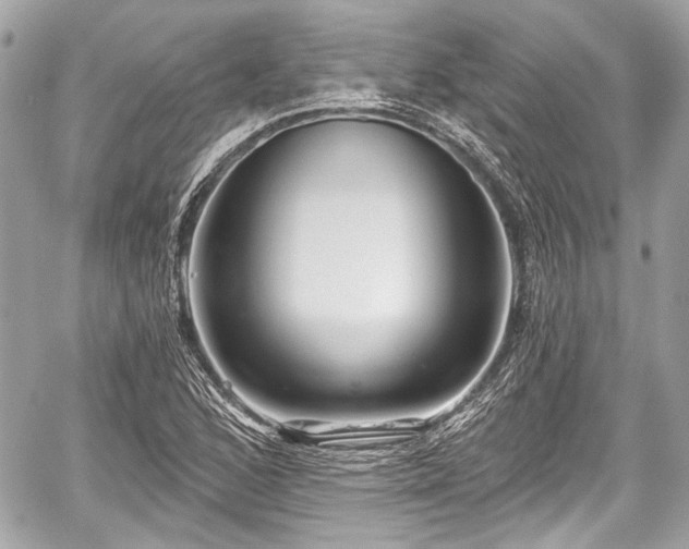 X0000059061168200510101041