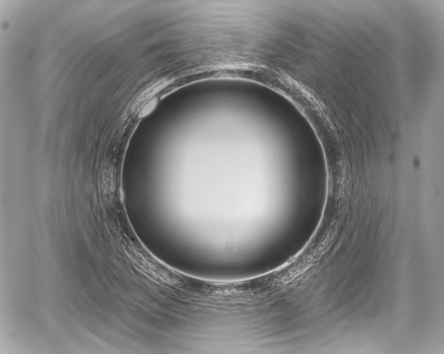 X0000059061169200510101041