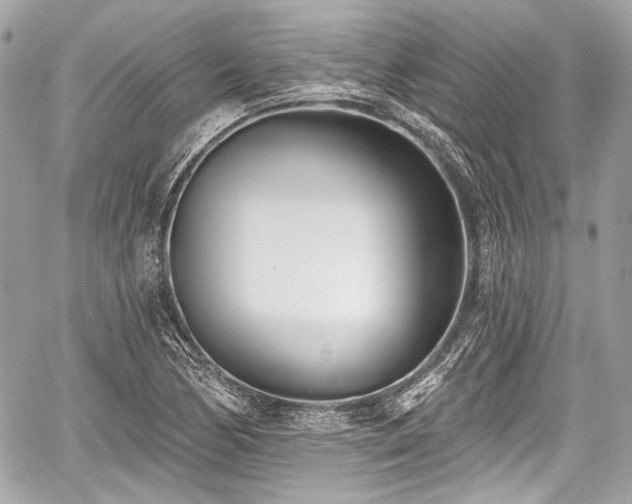 X0000059061170200510101041