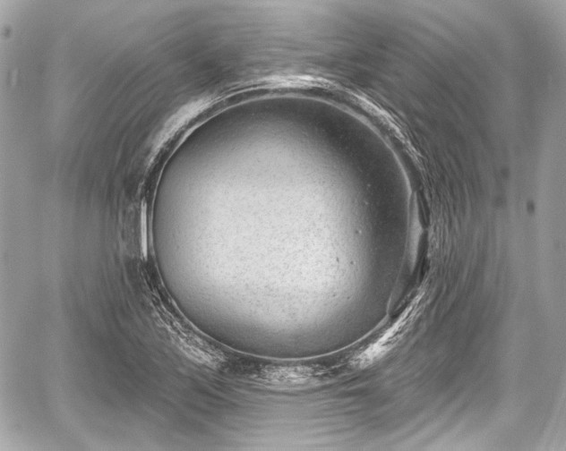 X0000059061171200510101041