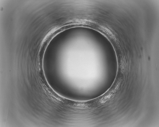 X0000059061172200510101041