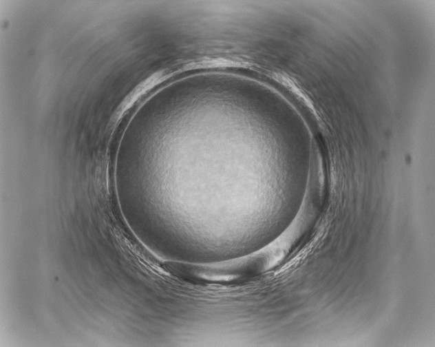 X0000059061173200510101041