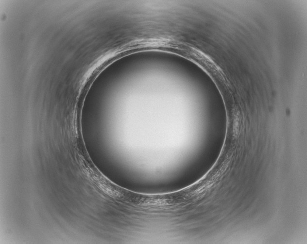 X0000059061174200510101041