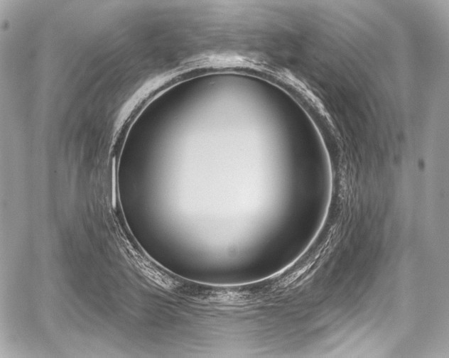 X0000059061175200510101041