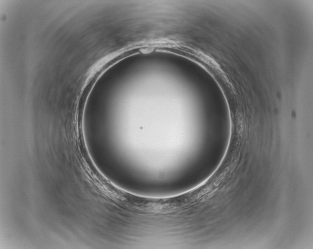 X0000059061176200510101041